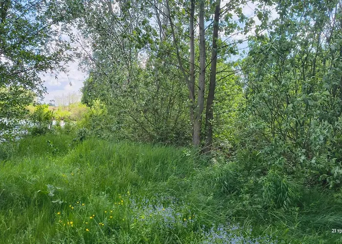 Guest House Dacha
