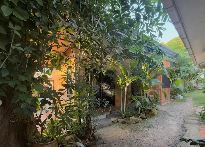 Beach Jungle