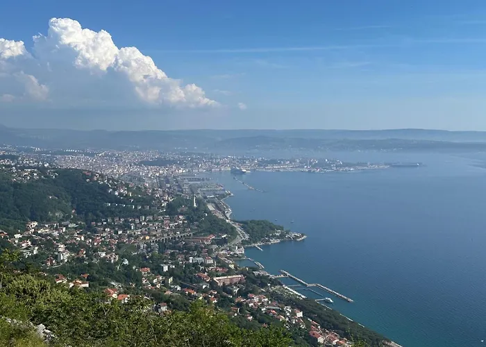 Trieste Sea Life