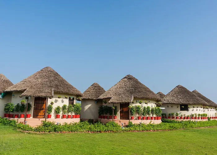 Forest Mud Villas