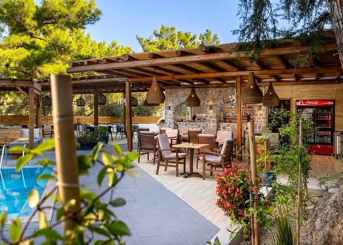Casa Trees Boutique Hotel (Adults Only)