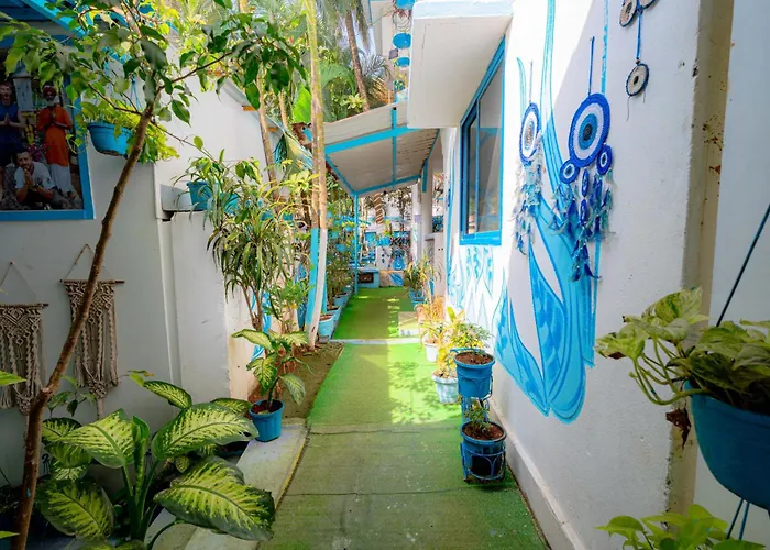 Vllk Resort Near Arambol Beach North Goa