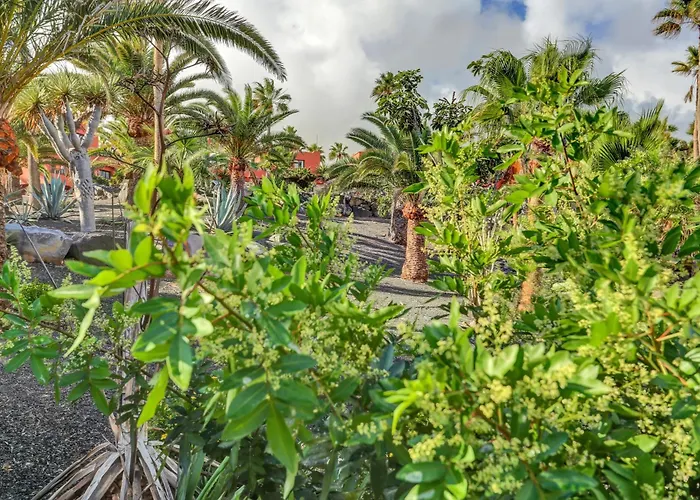 Oasis Royal
