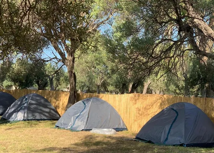 Borsh Olive Camping