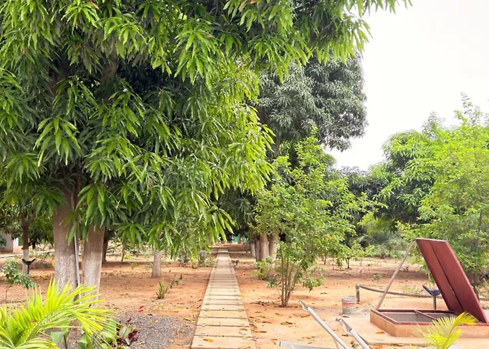 Viana Nature Resort Pool And Garden