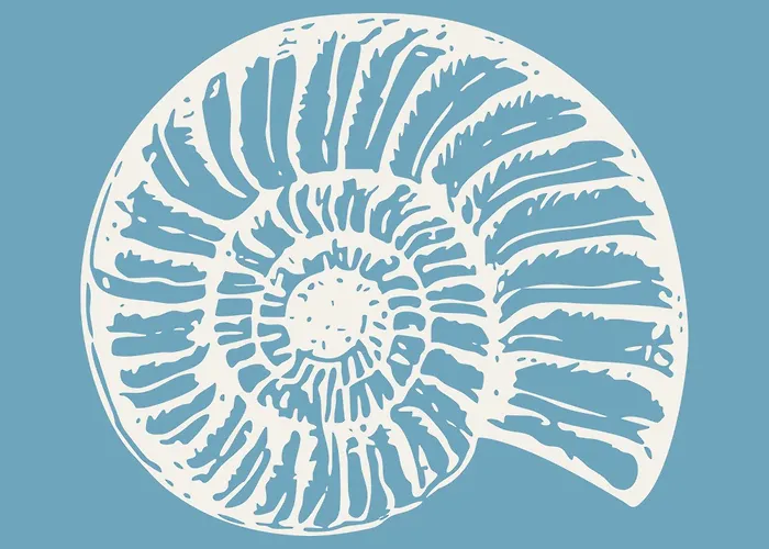 Boli Dhigurah