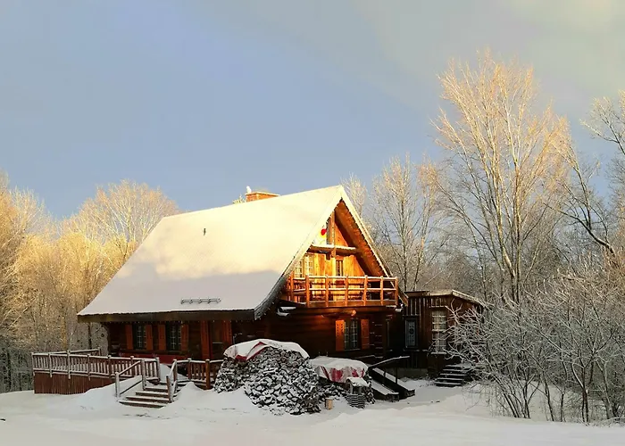 Longview Spectacular Forest Views On 88 Acres