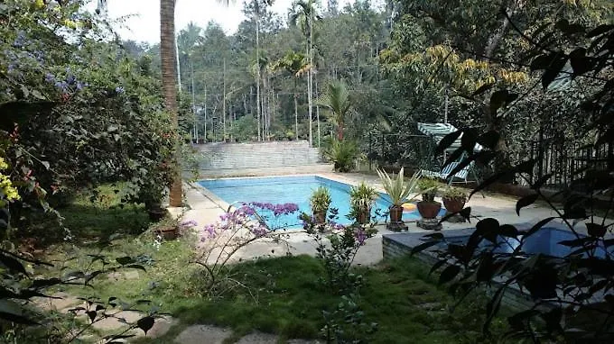 Wayanad Turmerica Premium Pool Resort