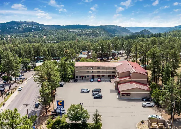 Comfort Inn & Suites Midtown