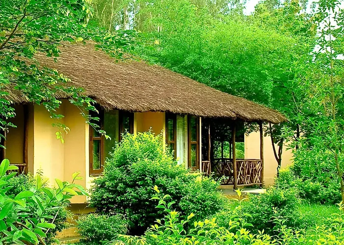 Jim'S Jungle Retreat