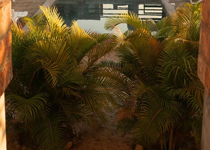 Cerritos Baja Eco Pet Friendly Boutique Stay