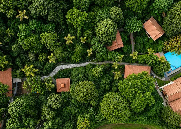 Hill Crest Resort - Coorg