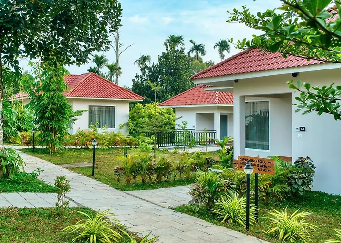 Manayath Wayanad Premium Pool Resort