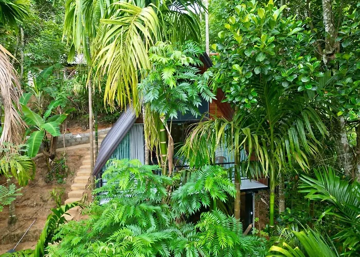 Silver Mist Jungle Cabana Ella