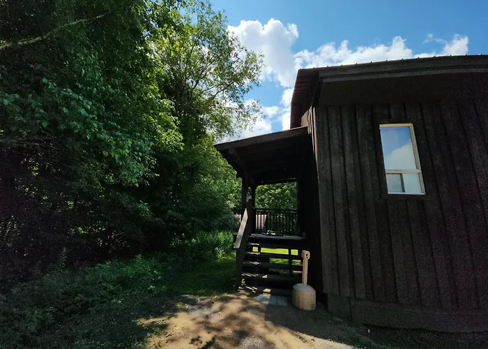 Haliburton Forest And Wild Life Reserve Ltd
