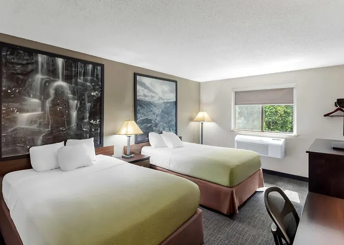 Super 8 By Wyndham Elkins
