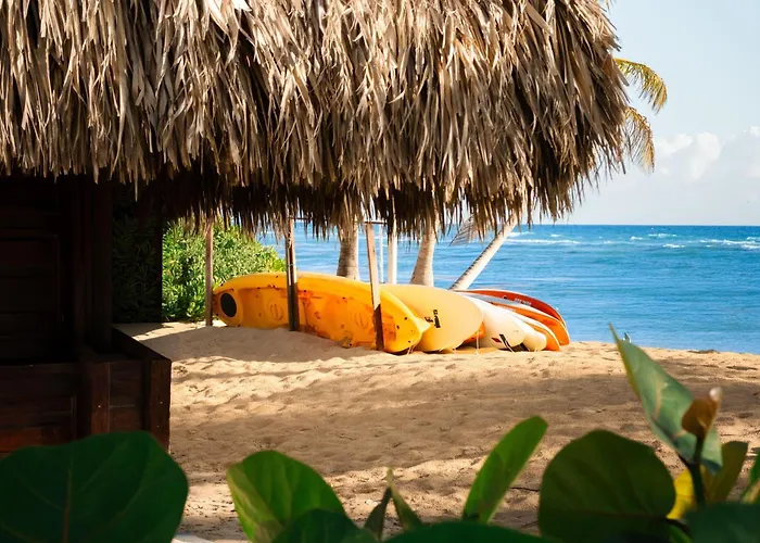 Wyndham Alltra Punta Cana All Inclusive Resort