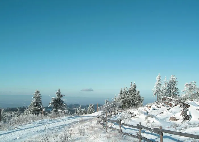 Nationalpark-Hotel Schliffkopf