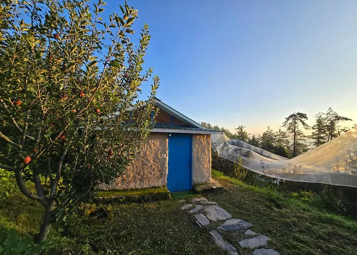 Orchard N Cedar By Daak Bangla