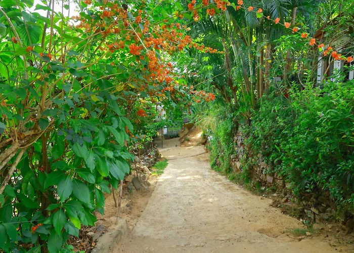 The Dream Homestay