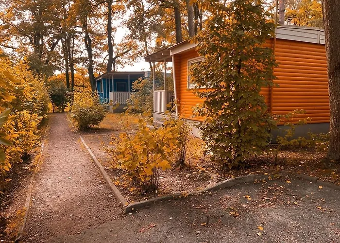 Waldkiez Tiefensee