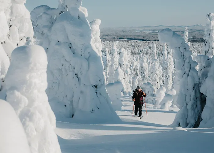 Livo Arctic Resort
