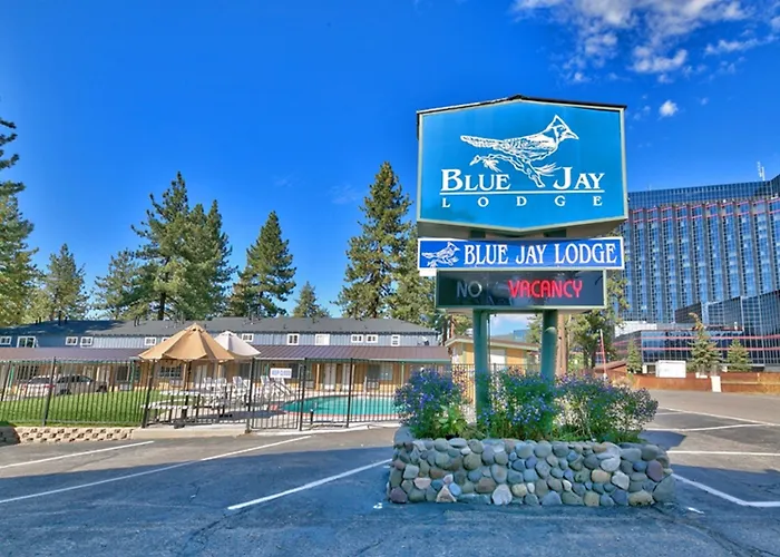 Blue Jay Lodge