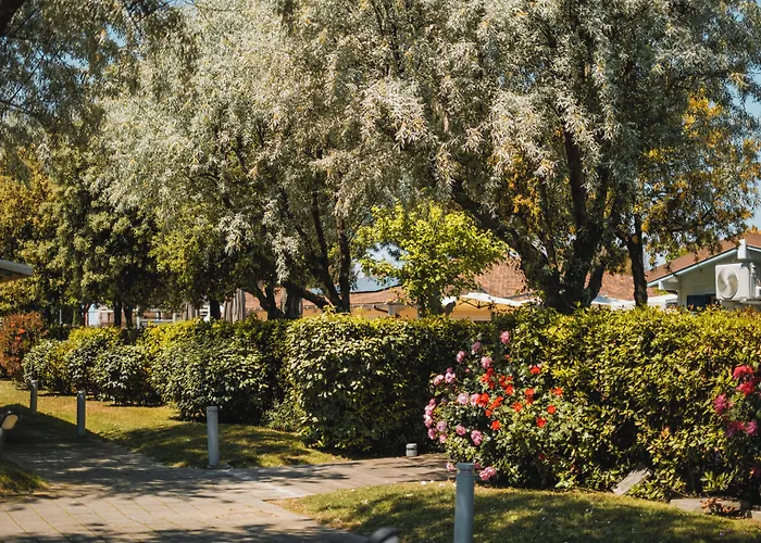 Natural Village