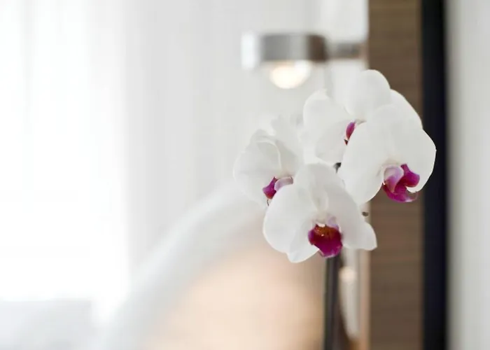 Hotel Constantia