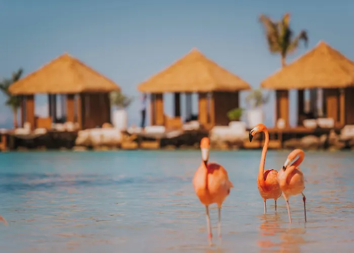 Renaissance Wind Creek Aruba Resort