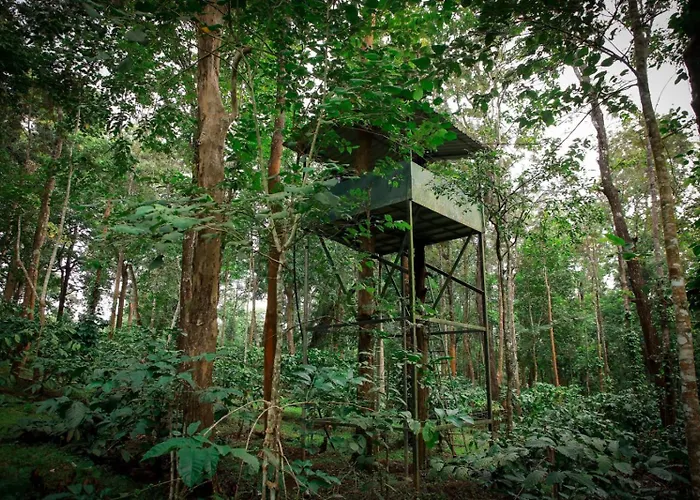 Pugmarks Jungle Lodge
