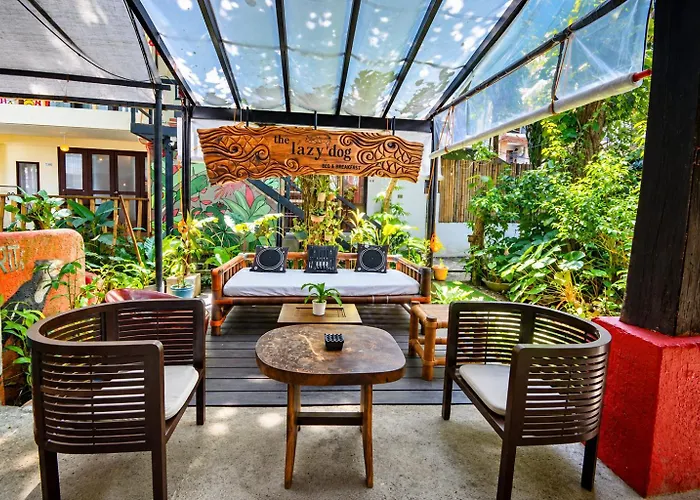 Lazy Dog Bed & Breakfast