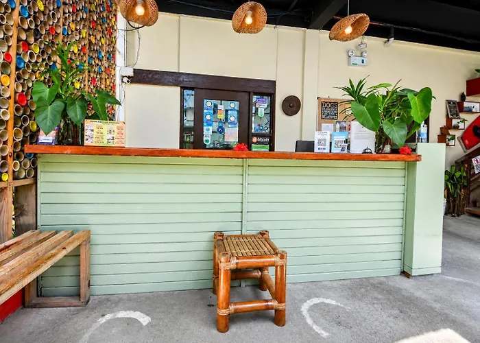 Lazy Dog Bed & Breakfast