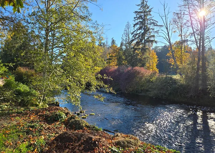 Riverside Resort & Rv Park