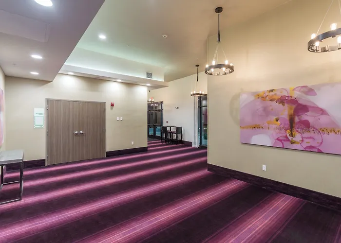 Holiday Inn San Marcos Convention Center By Ihg