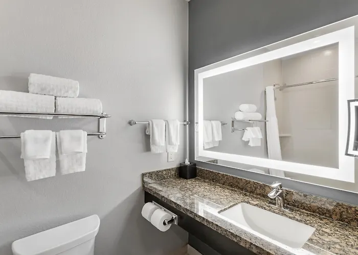Best Western Plus Lake Jackson Inn & Suites
