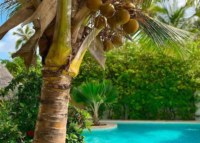 Alladin Boutique Beach Hotel And Spa Zanzibar