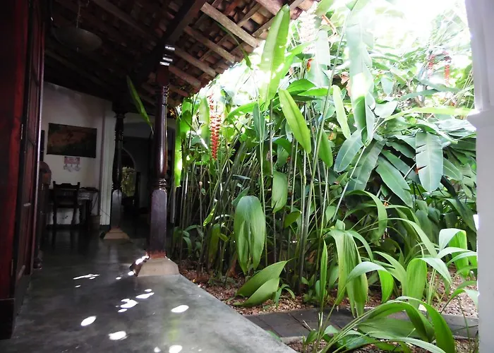 The Dream House