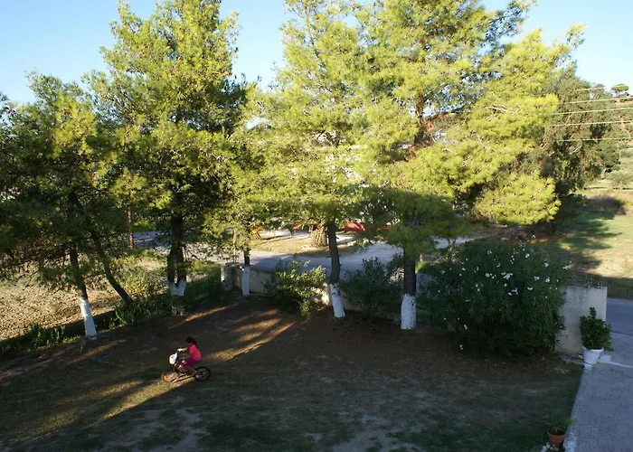 Tota Studios
