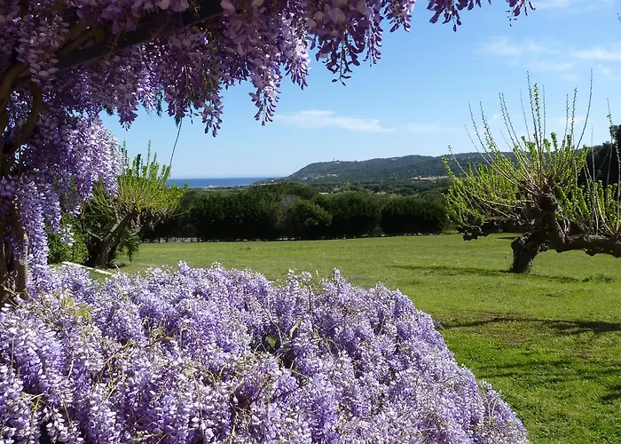 Residence Les Sellettes