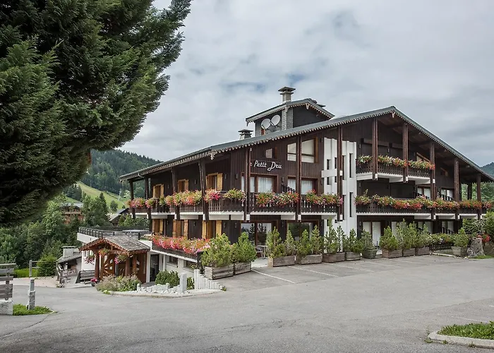 Hotel Le Petit Dru