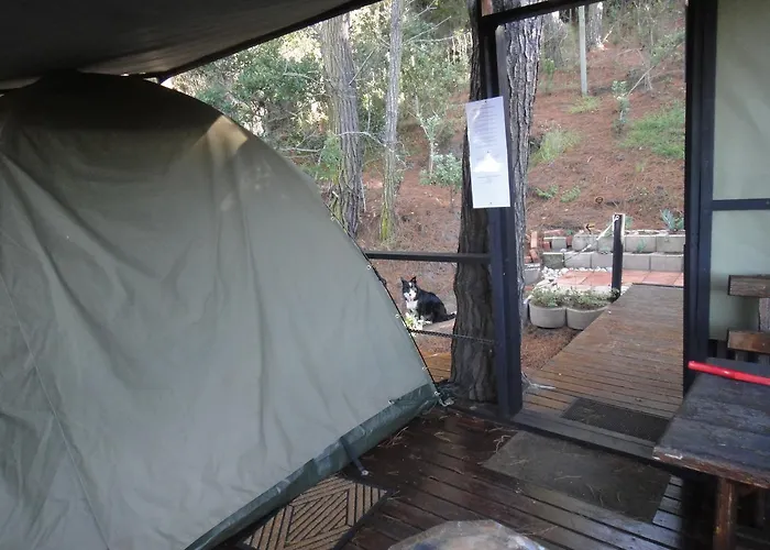 Eagles' Call Cottages And Tent