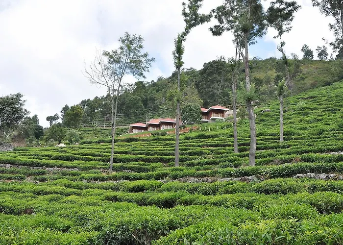Hanging Huts Resorts