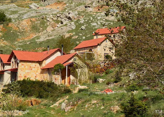 Soha Village Resort