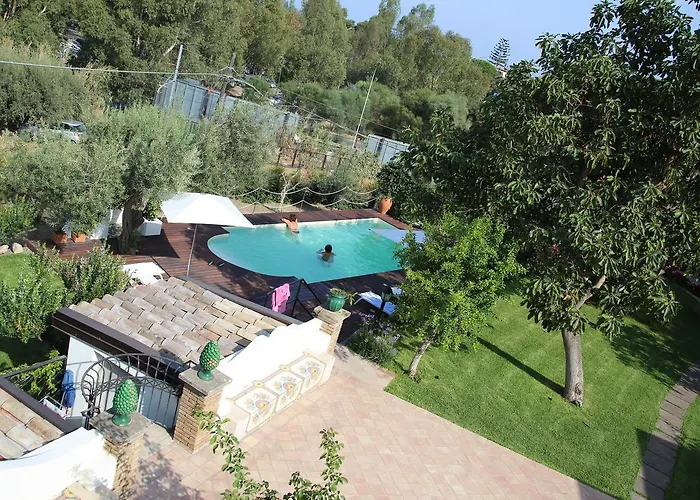 Avocado B&B Beyond