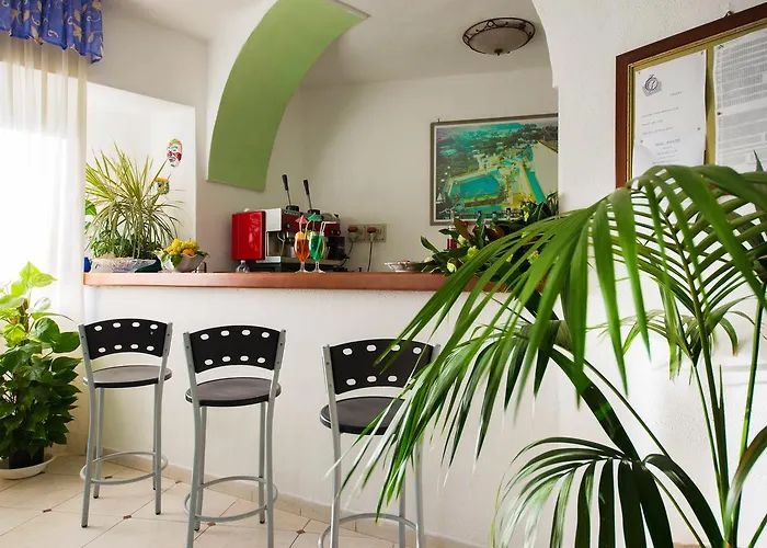 B&B Verde