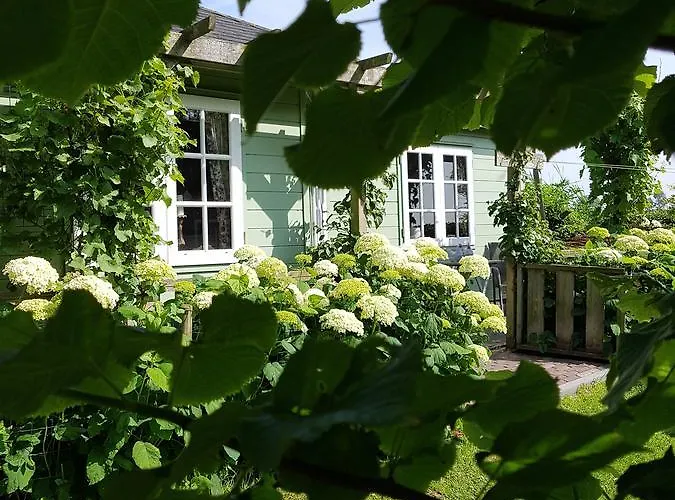 Romantisch Huisje Julianadorp