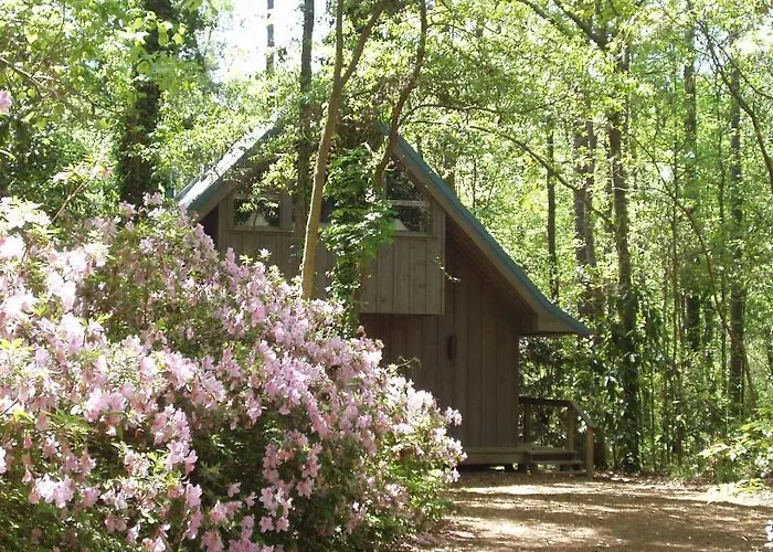 The Meadow Cabin