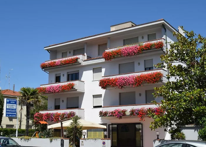 Orchidea Marina