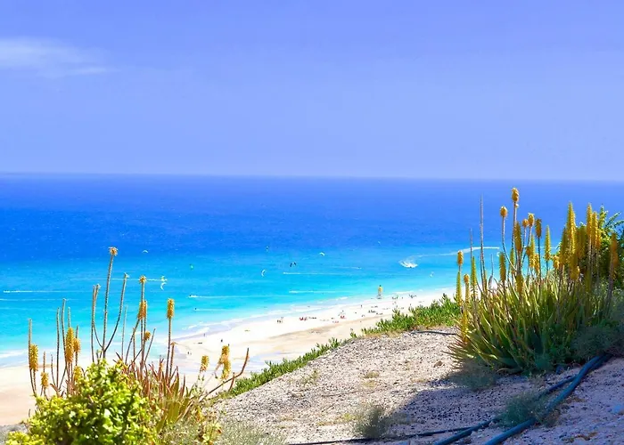 Residencial Playa Paraiso